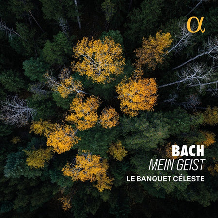 Mein Geist - Front Cover