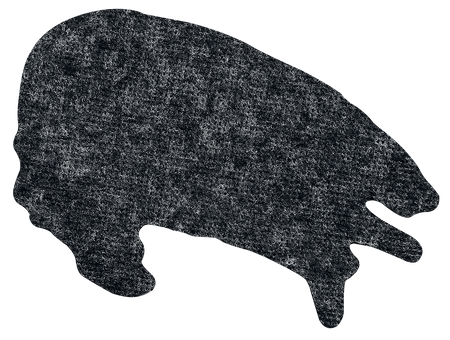 Patch  de Metallica - Flaming Skull - pour Unisexe - multicolore - metallica - View 2