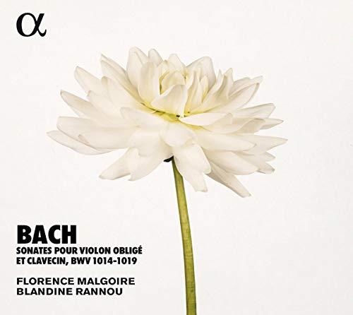 Sonates pour violon oblige et clavecin BWV 1014-1019 - Front Cover
