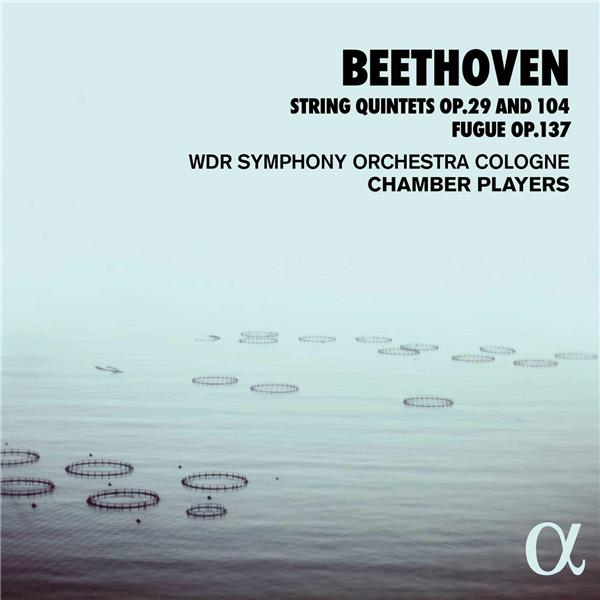 Quintettes à cordes opus 29 et 104 Fugue opus 137 - Front Cover