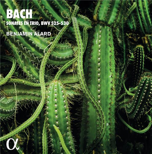 Sonates en trio BWV 525-530 - Front Cover