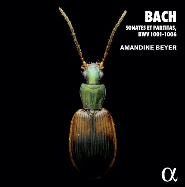 Sonates et partitas BWV 1001-1006 - Front Cover