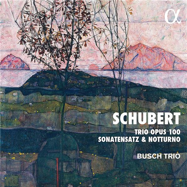 Trio Opus 100 Sonatensatz et Notturno - Front Cover