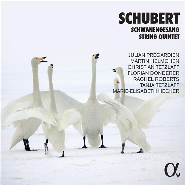 Schwanengesang & Quintette à cordes - Front Cover