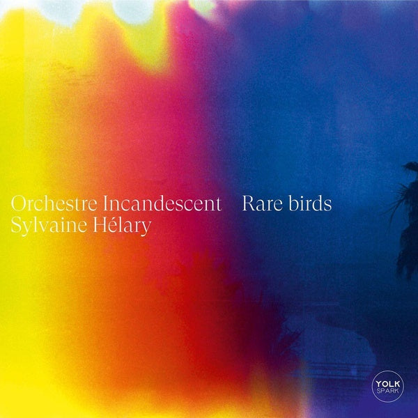 Rare Birds - Front Cover
