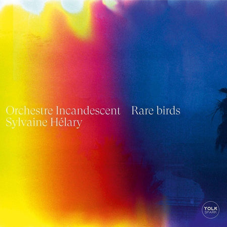 Rare Birds - Front Cover