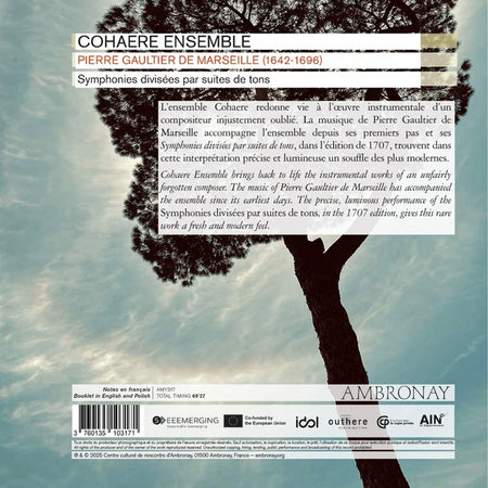 Symphonies divisées par suites de tons - Front Cover