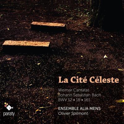 La cité céleste - Front Cover