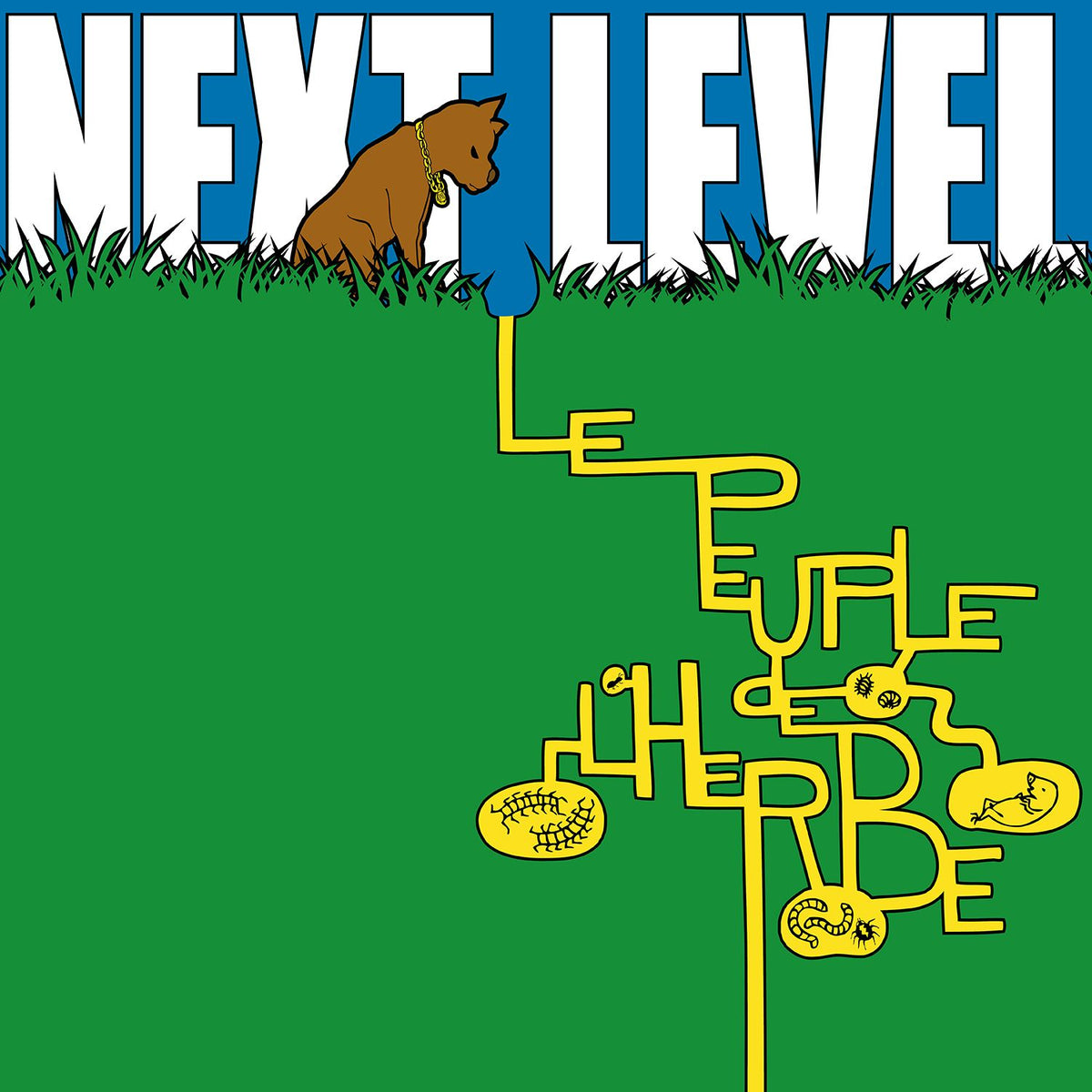 NEXT LEVEL - Front Cover