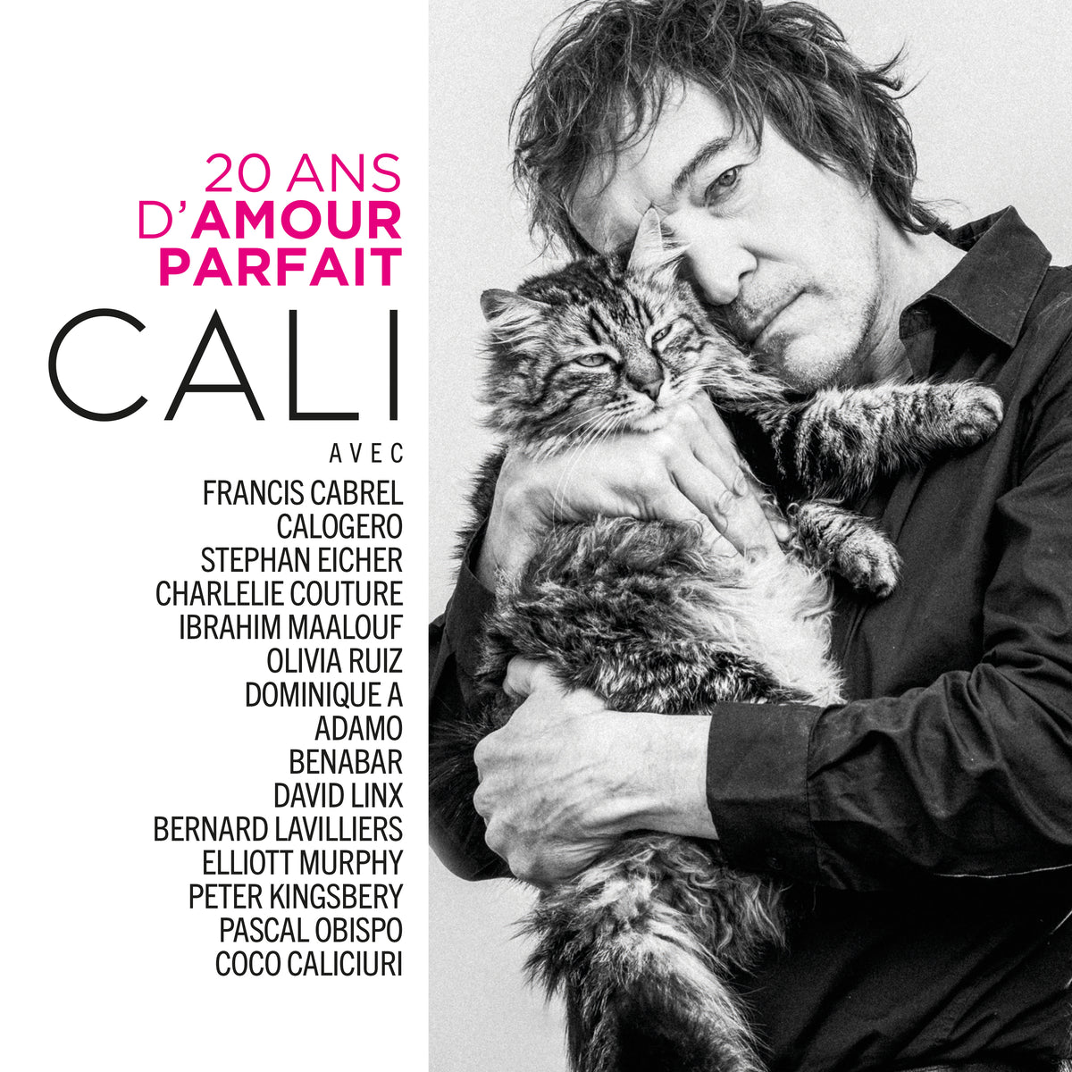 20 ANS D'AMOUR PARFAIT - Front Cover