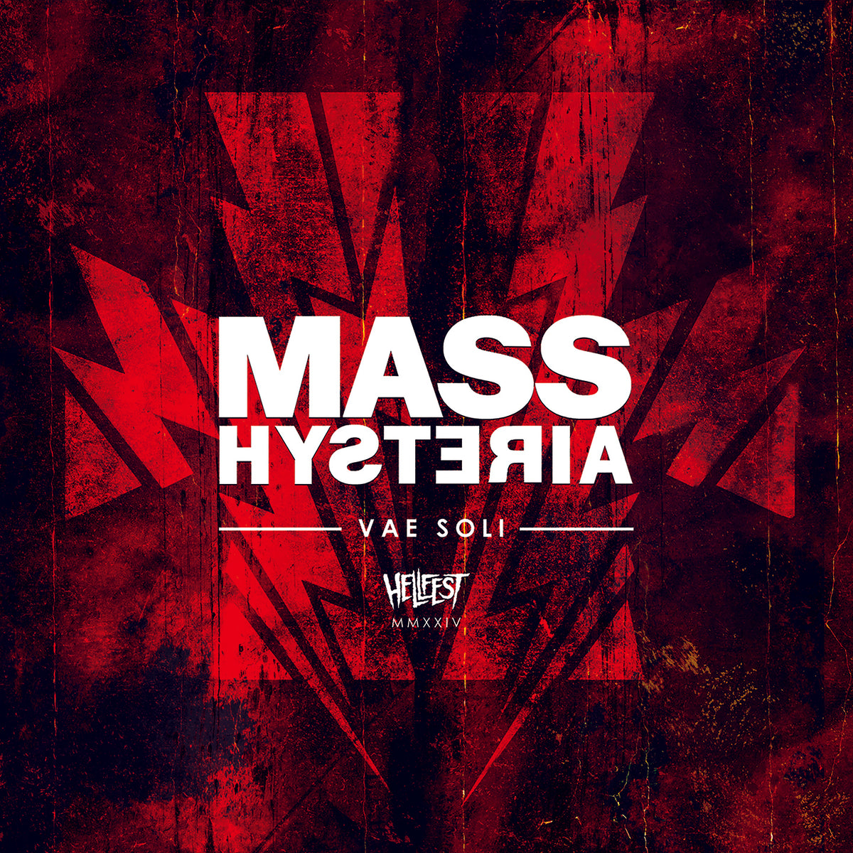 VAE SOLI (HELLFEST 2024) - Back Cover