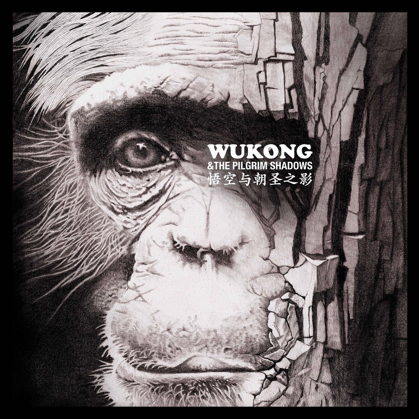 WUKONG AND THE PILGRIM SHADOWS - Front Cover
