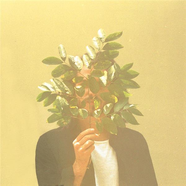 French Kiwi Juice - Front Cover