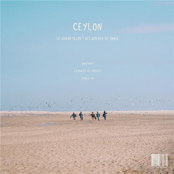 Le Grand Secret des Oiseaux de Sable - Front Cover