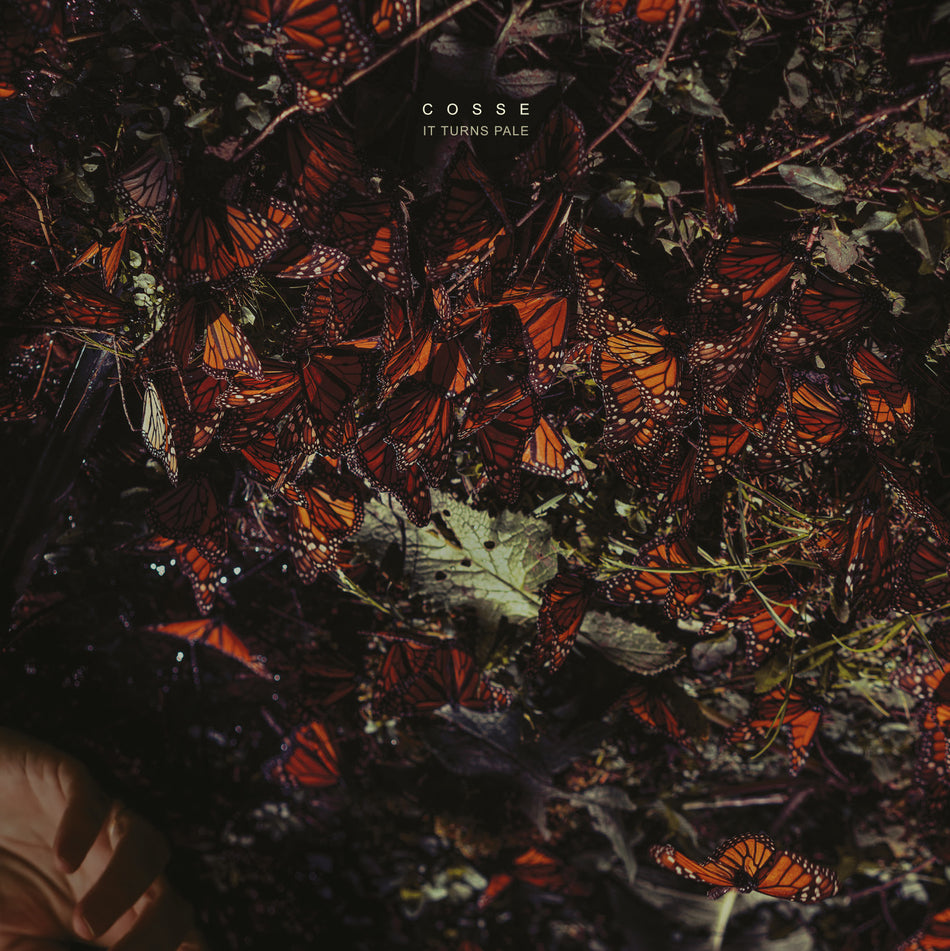 It Turns Pale - Front Cover