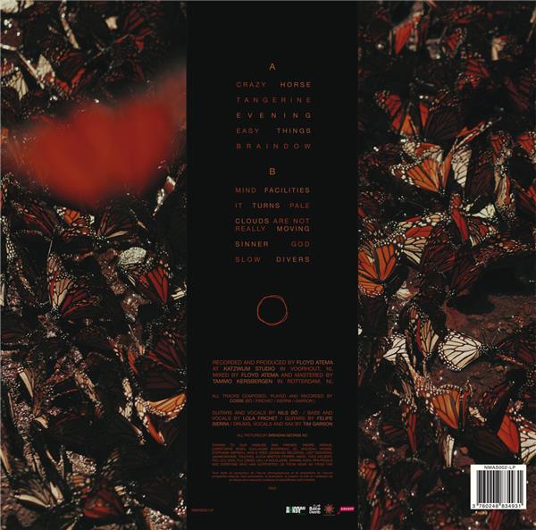 It Turns Pale - Front Cover