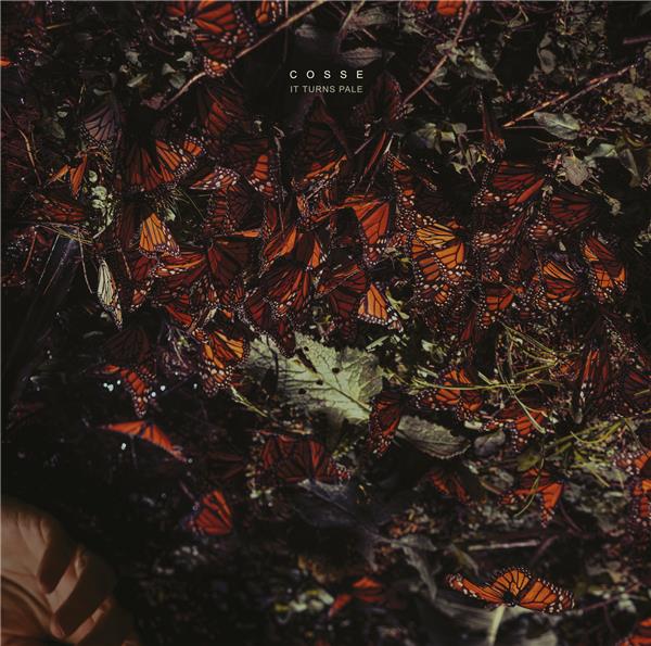 It Turns Pale - Front Cover