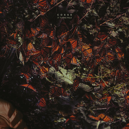 It Turns Pale - Front Cover