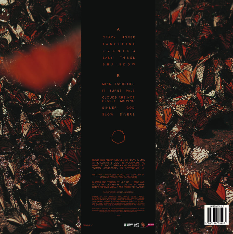 It Turns Pale - Back Cover