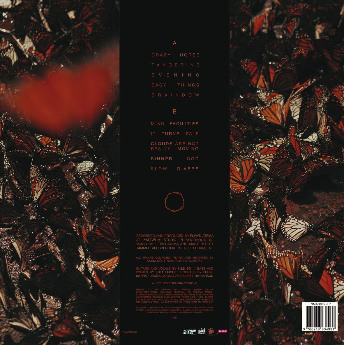 It Turns Pale - Back Cover