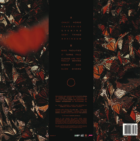 It Turns Pale - Back Cover