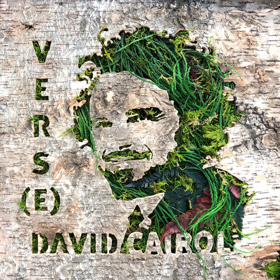 Verse - Front Cover