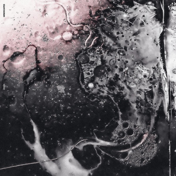 Mindscapes - Front Cover