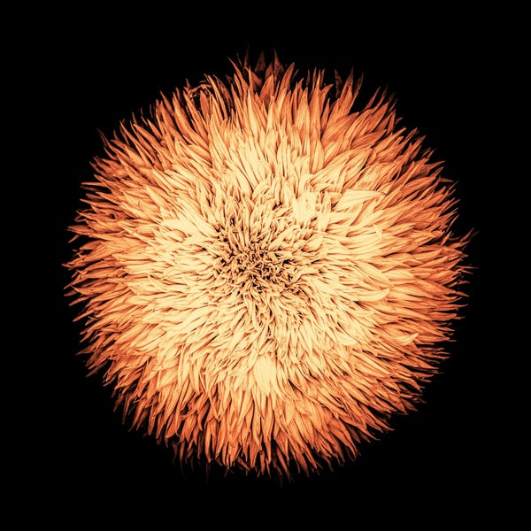 Cosmogonia - Vinyle - Front Cover