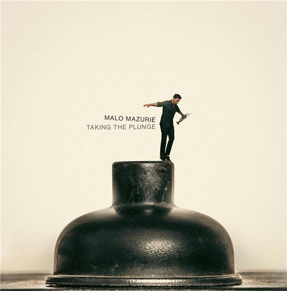 Taking The Plunge - Front Cover