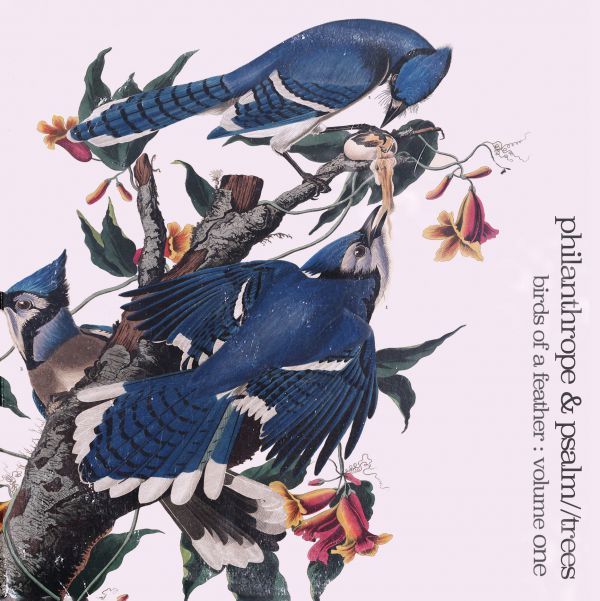 Birds Of a Feather Volume 1 - Front Cover