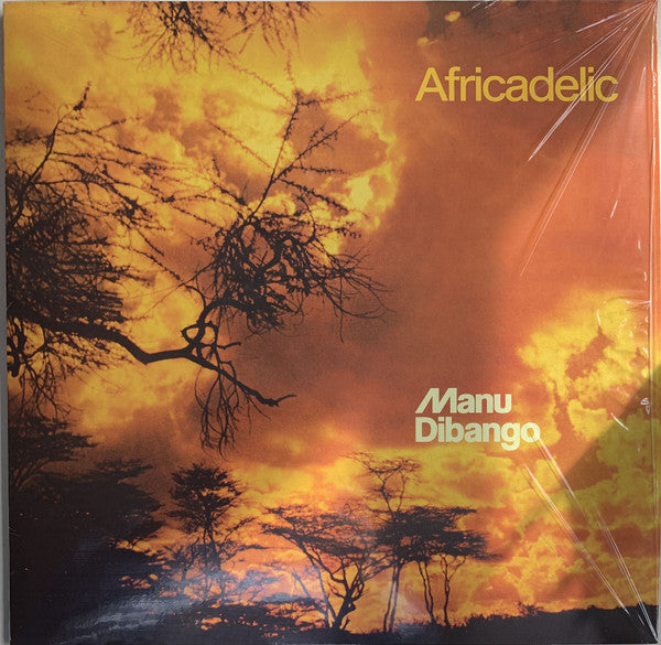 Manu Dibango - Africadelic