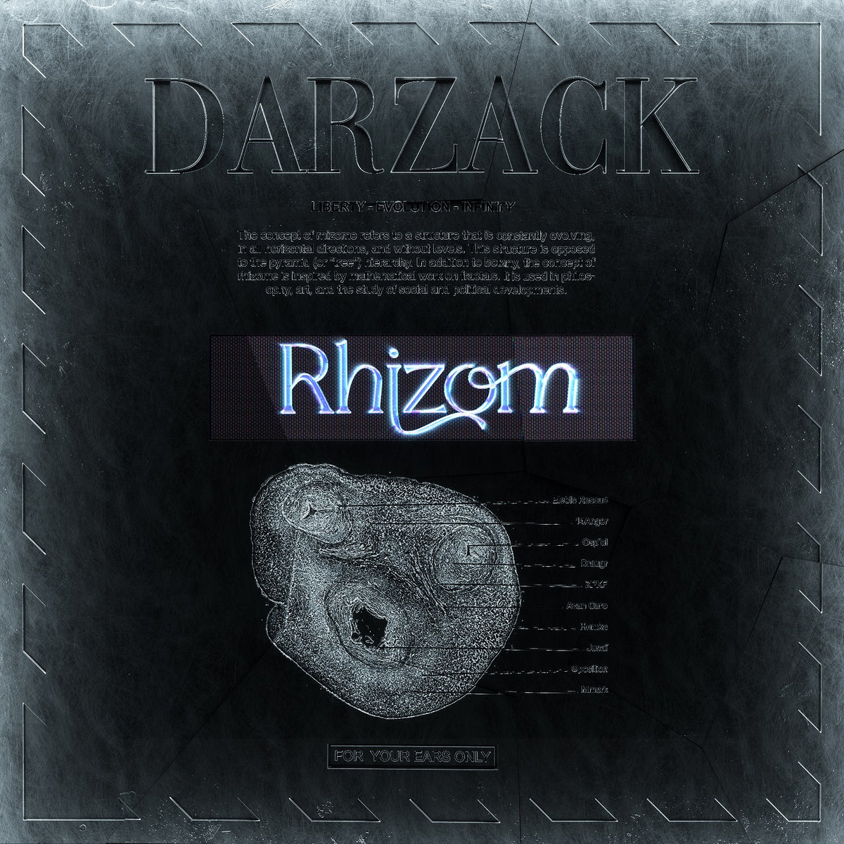 RHIZOM - Front Cover