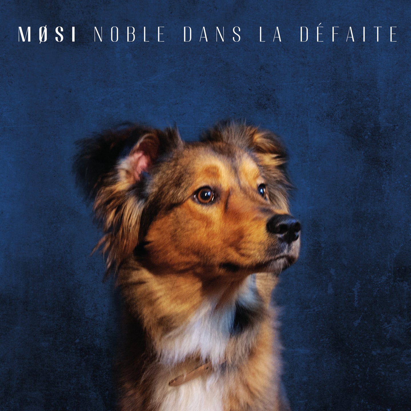 NOBLE DANS LA DÉFAITE - Front Cover