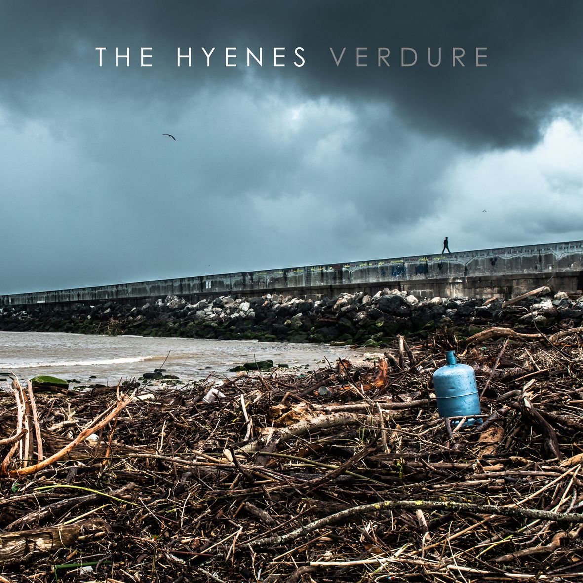VERDURE (vinyl) - Front Cover