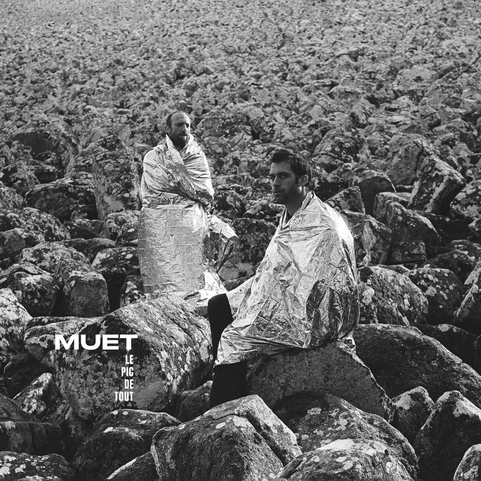 LE PIC DE TOUT (vinyl) - Front Cover