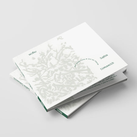 Wishes - Front Cover