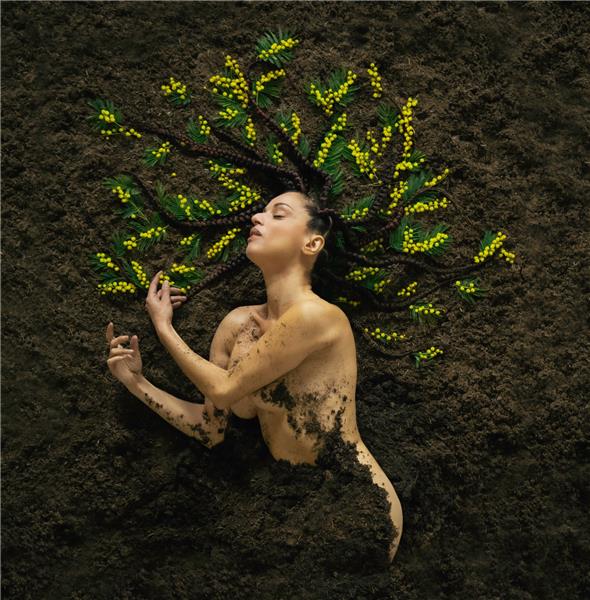 MAUVAISE GRAINE - Front Cover