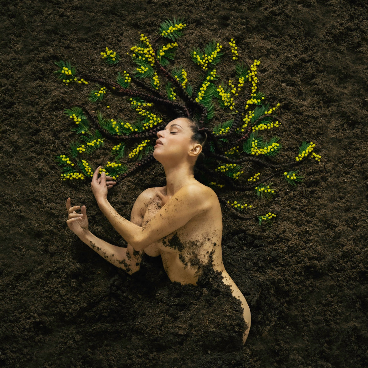 MAUVAISE GRAINE - Front Cover