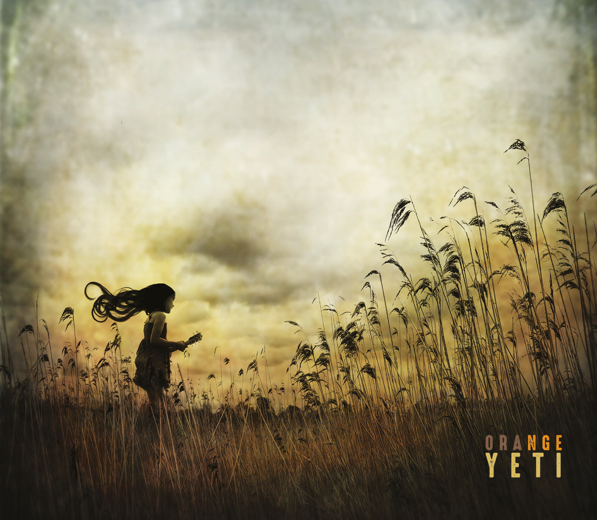 ORANGE YETI - Front Cover