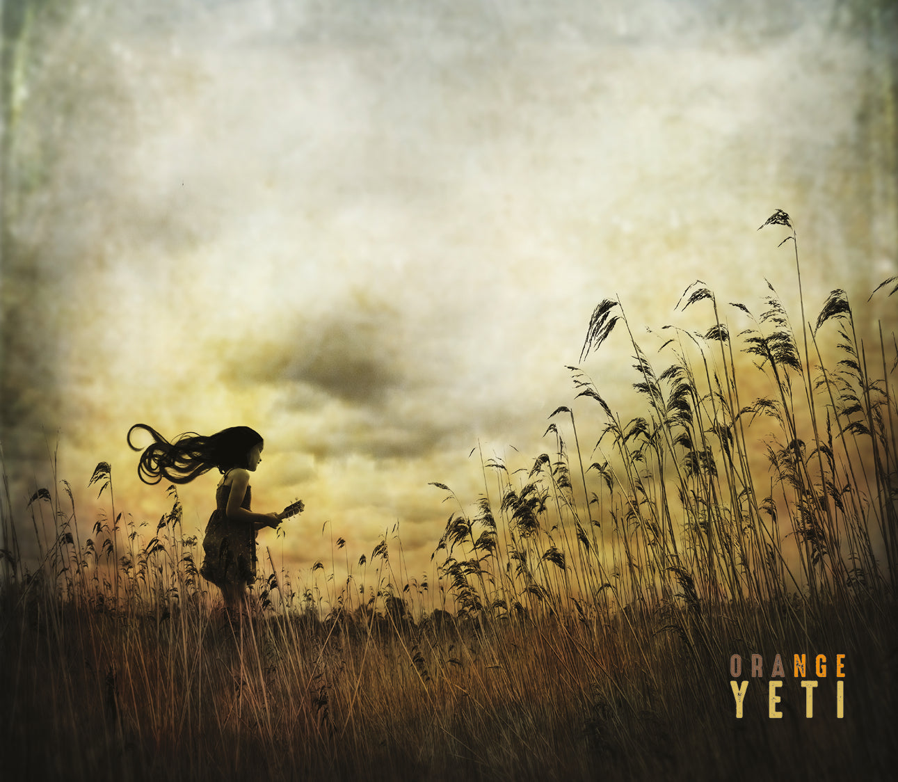 ORANGE YETI - Front Cover