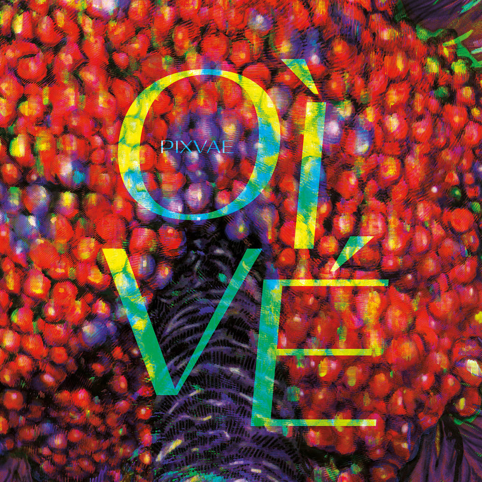 OI VE - Front Cover