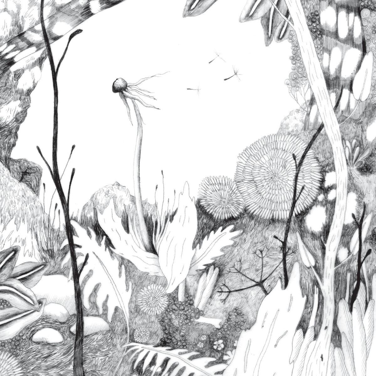 TIME WHISPERS - Front Cover