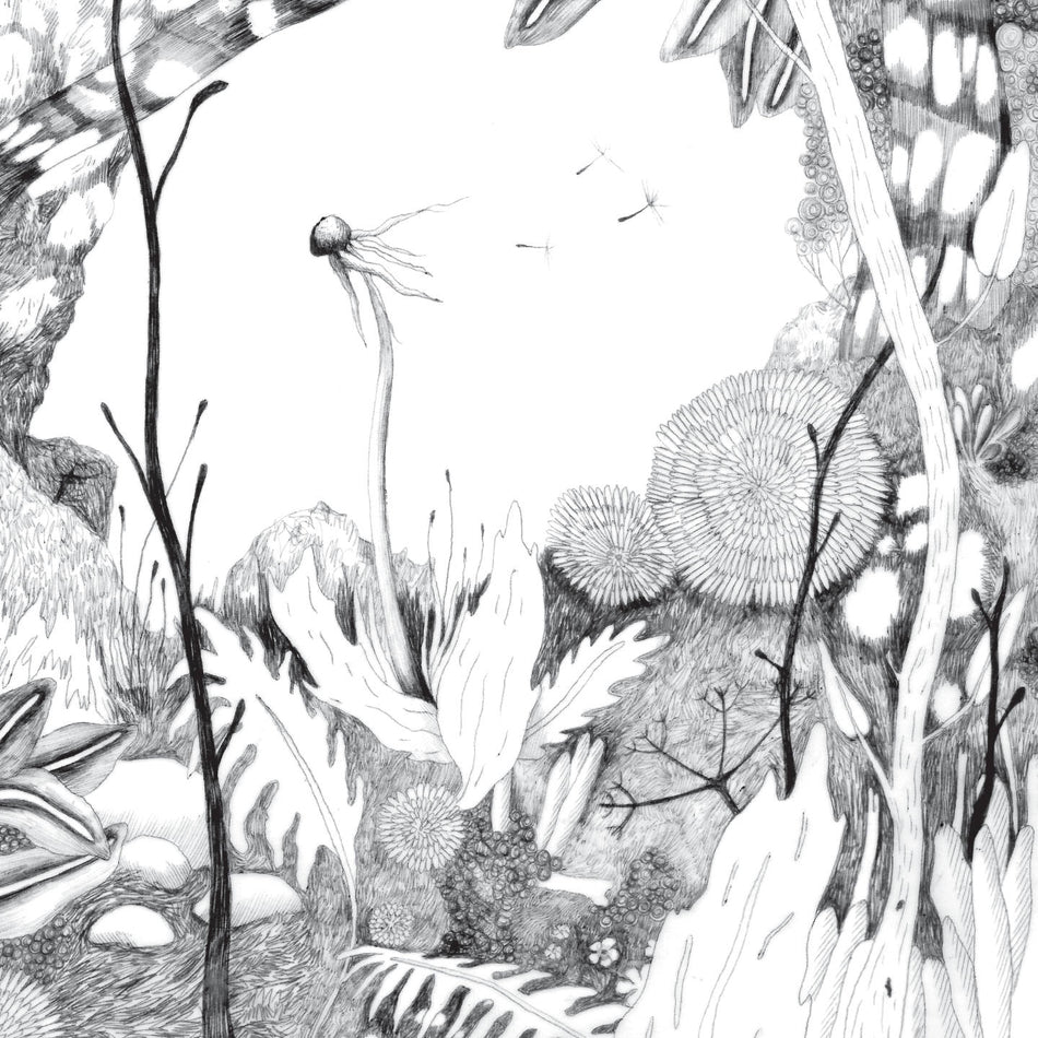 TIME WHISPERS - Front Cover