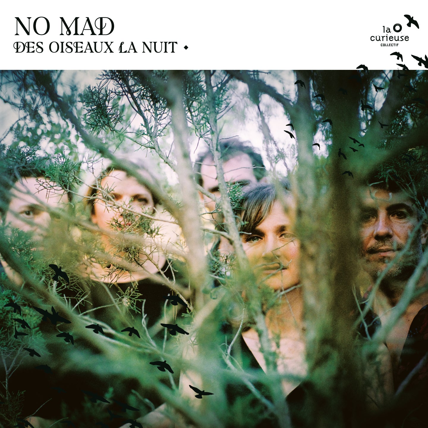 DES OISEAUX LA NUIT - Front Cover