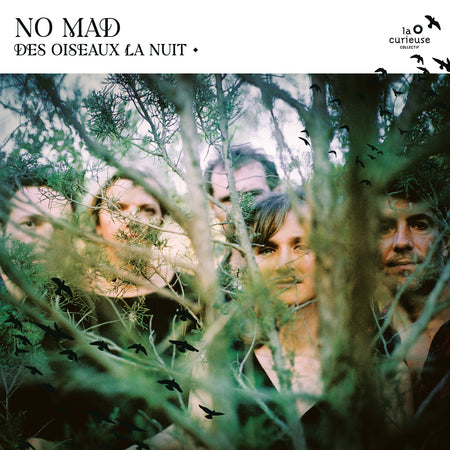 DES OISEAUX LA NUIT - Front Cover
