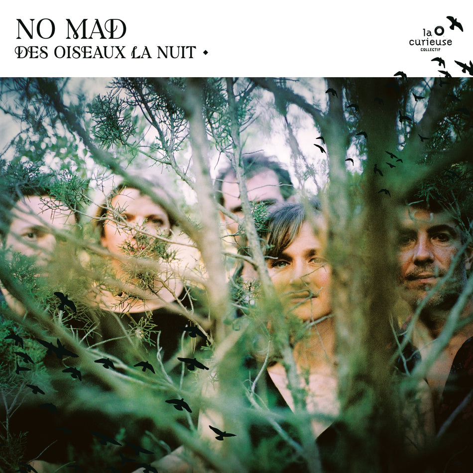 DES OISEAUX LA NUIT - Front Cover
