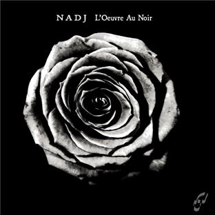 L'oeuvre au noir - Front Cover