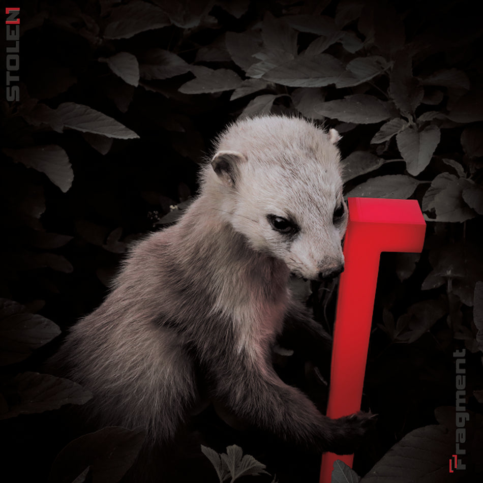 Fragment - Front Cover