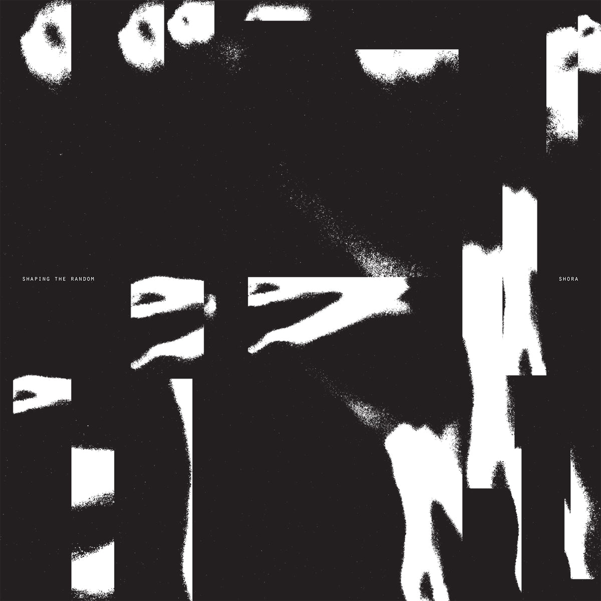 Shaping The Random - Front Cover