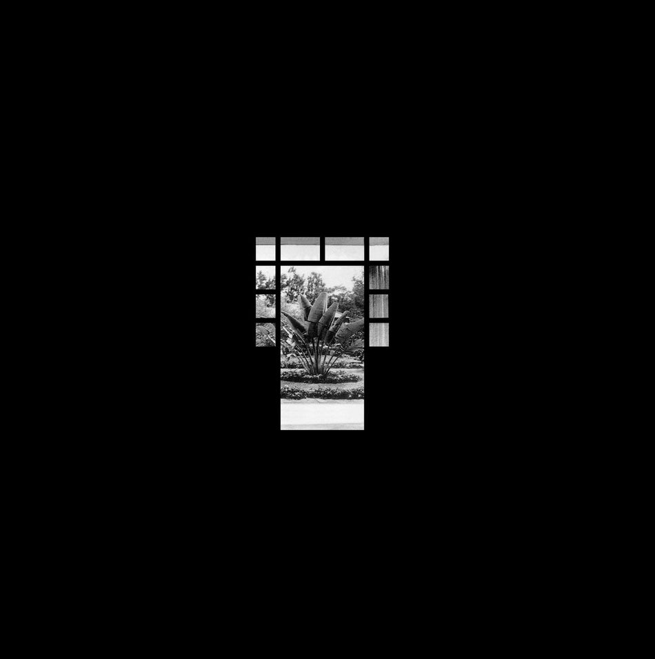 HEARTS OF PALM (vinyl) - Front Cover